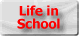 Life in Schools